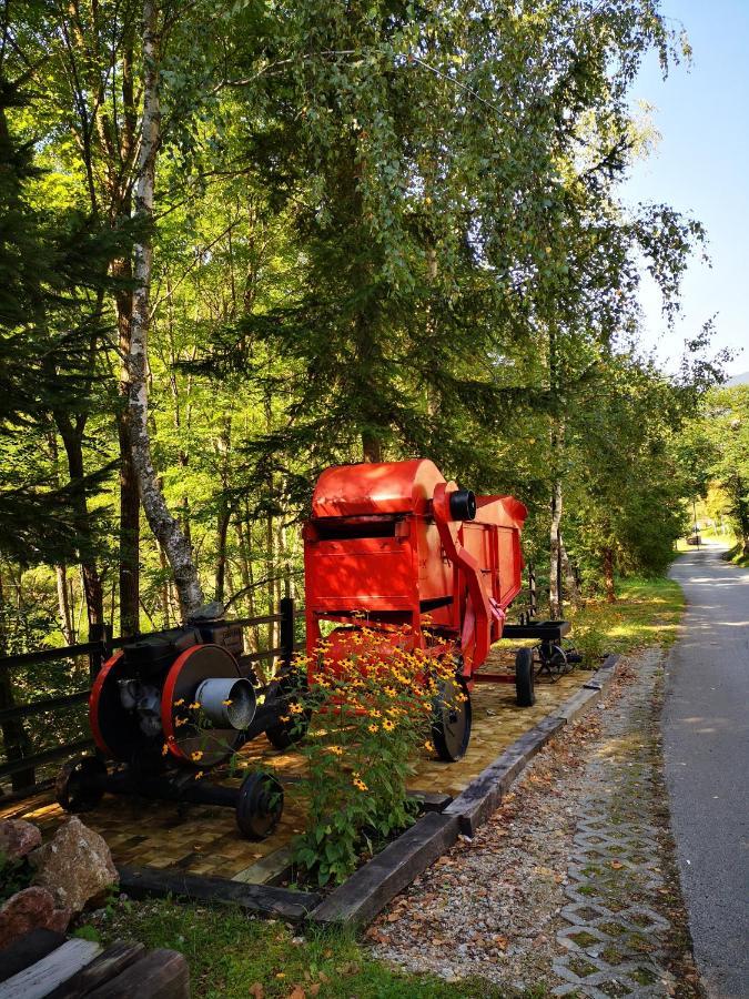 Apartments Dm Mokra Gora Kültér fotó